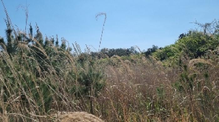 2025타경7731 법원경매 사진18 | 제주 제주시 전 경매