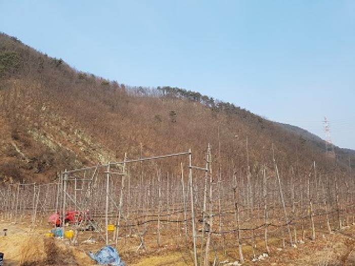 법원경매 2025타경10060 사진2 | 청송군 파천면 옹점리 임야 경매