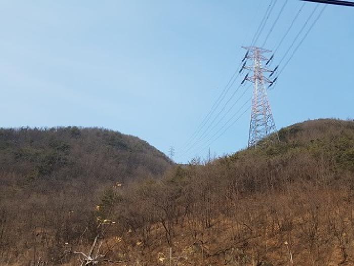 법원경매 2025타경10060 사진5 | 청송군 파천면 옹점리 임야 경매