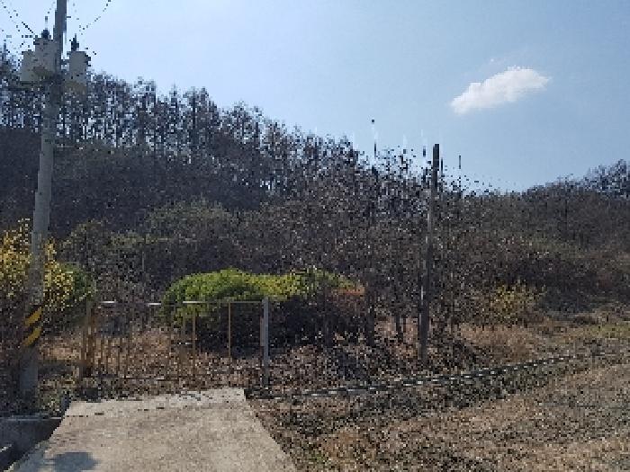 법원경매 2025타경10144 사진7 | 의성군 금성면 청로리 465 전 경매