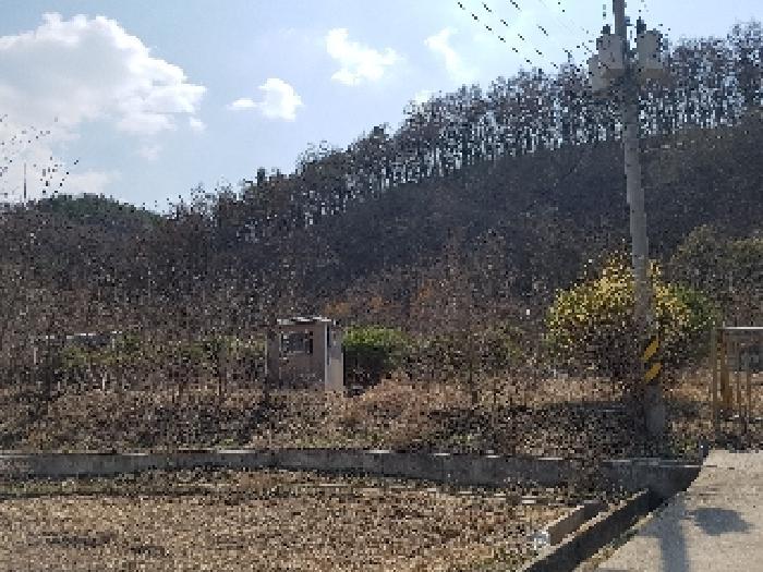 법원경매 2025타경10144 사진8 | 의성군 금성면 청로리 465 전 경매