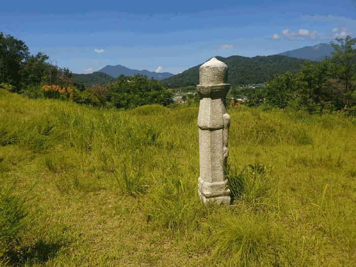 법원경매 2025타경993 사진7 | 칠곡군 북삼읍 오평리 88 전 경매