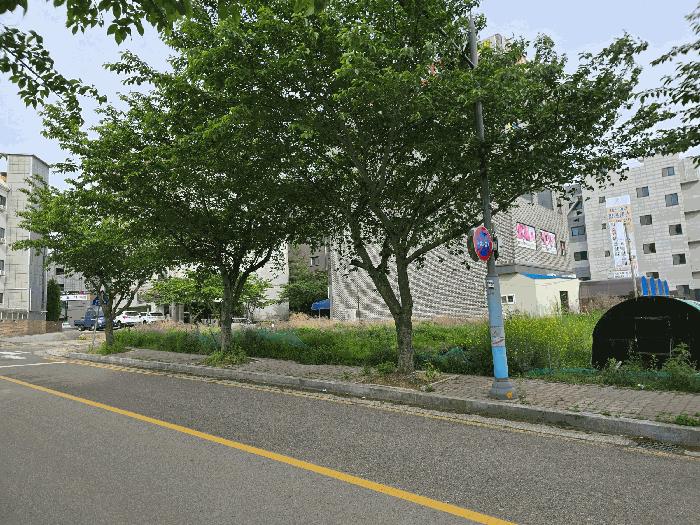 법원경매 2025타경627 사진2 | 서산시 대산읍 대산리 1640 대지 경매