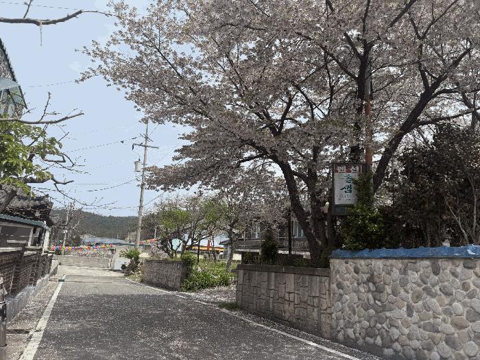 2025타경51200 법원경매 사진3 | 충남 태안군 주택건물 경매