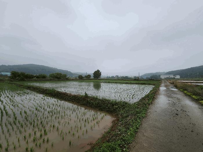 2025타경51367 법원경매 사진3 | 충남 서산시 답 경매