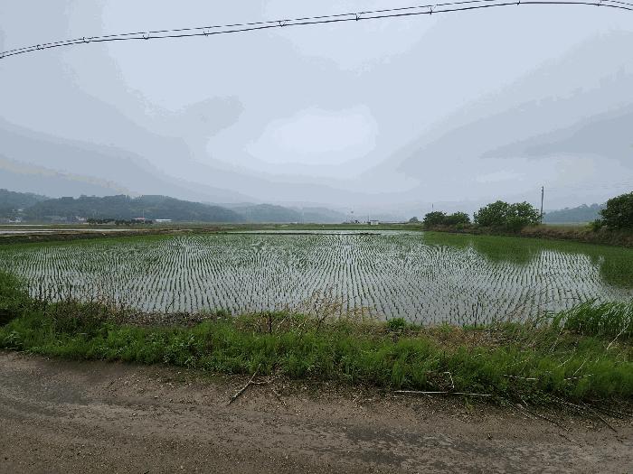 2025타경51367 법원경매 사진4 | 충남 서산시 답 경매