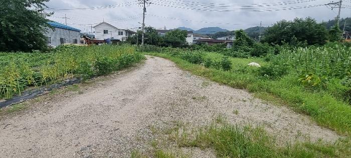법원경매 2024타경4752 사진4 | 연천군 청산면 대전리 507-2 대지 경매