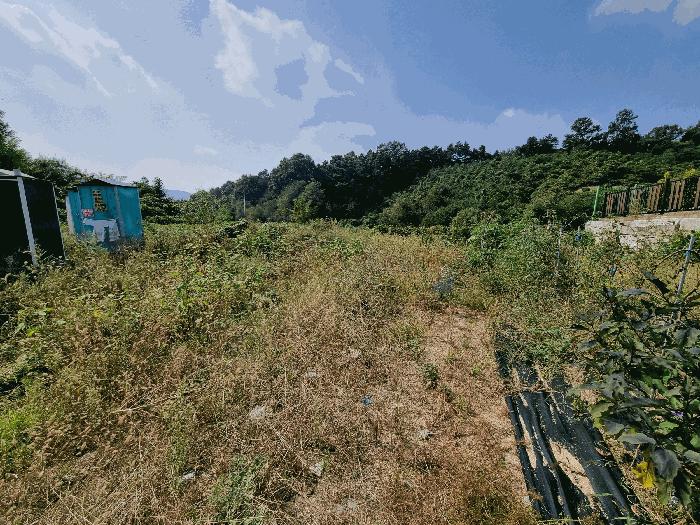 2025타경51780 법원경매 사진2 | 충북 증평군 임야 경매