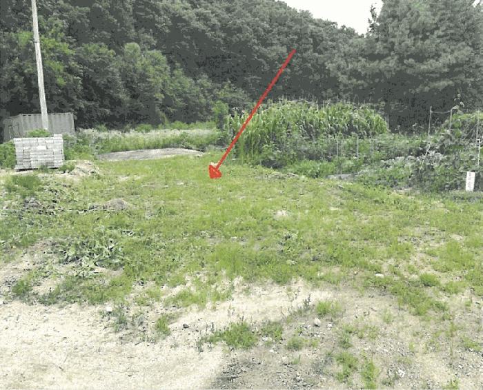 2025타경72055 법원경매 사진3 | 경기 포천시 대지 경매