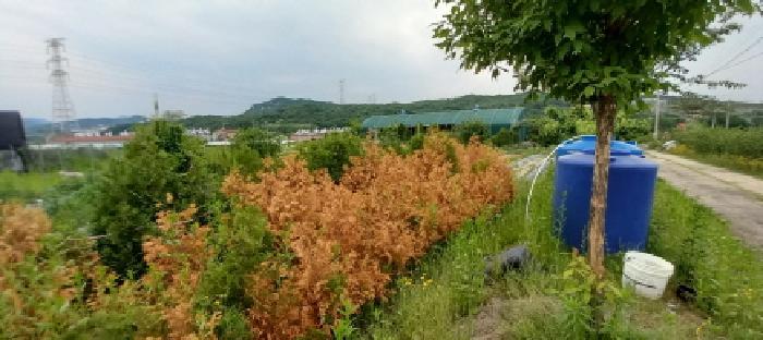 2025타경72180 법원경매 사진33 | 경기 포천시 전답 경매