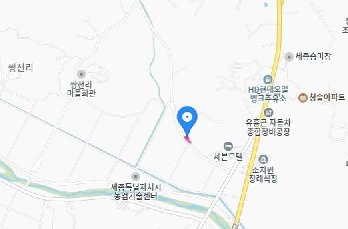 2025타경502773 법원경매 사진10 | 세종 연서면 답 경매