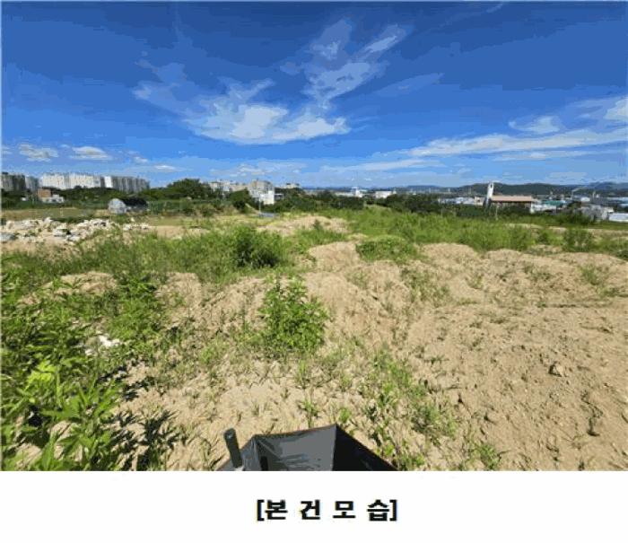 2025타경502971 법원경매 사진4 | 세종 조치원읍 임야 경매