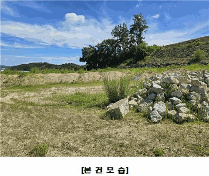 2025타경502971 법원경매 사진8 | 세종 조치원읍 임야 경매