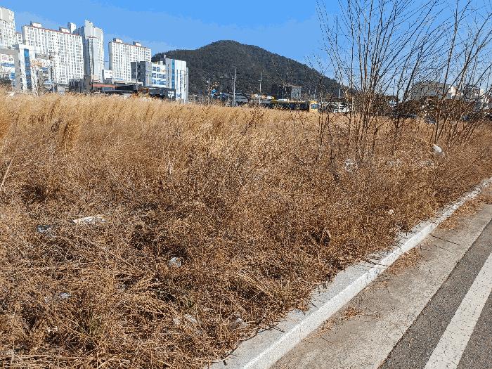 2025타경331 법원경매 사진6 | 경남 김해시 대지 경매