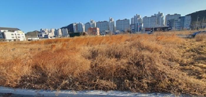 2025타경331 법원경매 사진8 | 경남 김해시 대지 경매