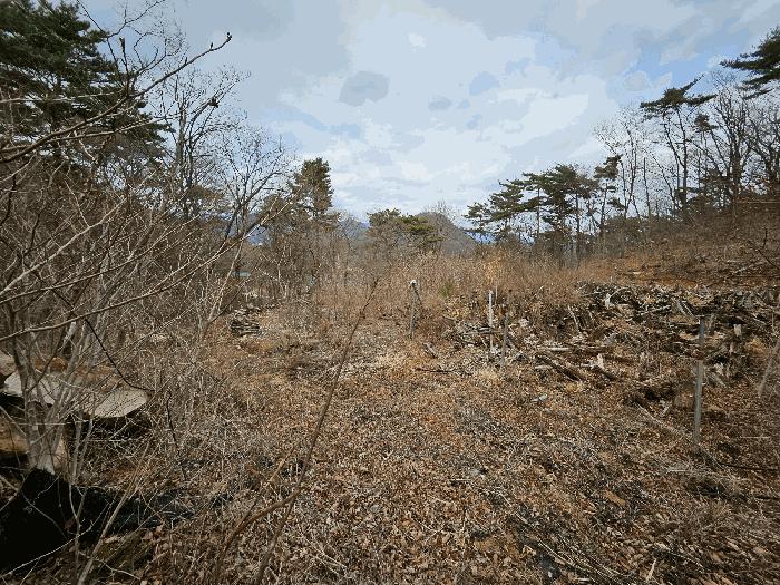 2025타경358 법원경매 사진2 | 경남 김해시 임야 경매