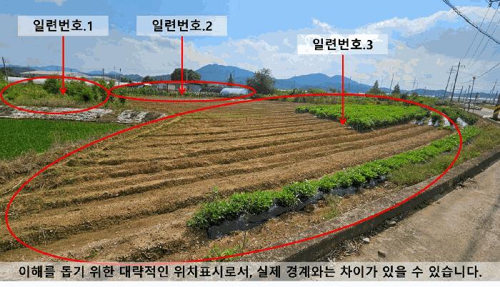 2025타경246 법원경매 사진5 | 경남 함안군 답 경매