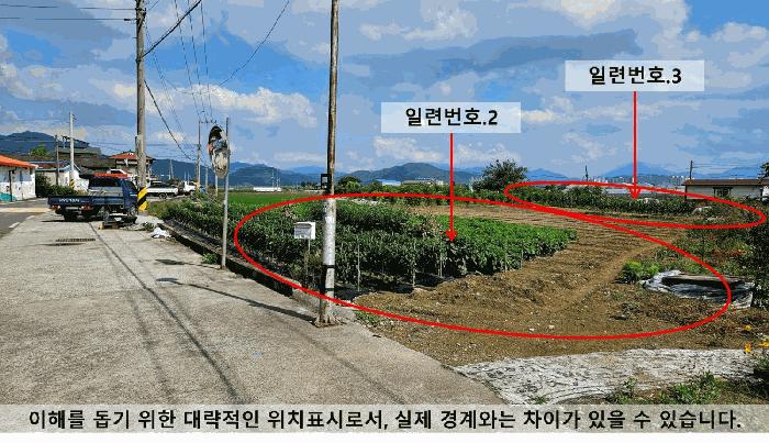 2025타경246 법원경매 사진6 | 경남 함안군 답 경매