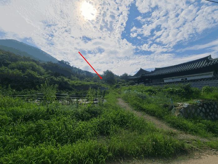 경상남도 창원시 마산합포구 진동면 교동리 512 법원경매 물건 대표사진