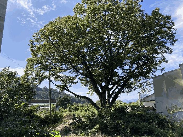 2025타경285 법원경매 사진4 | 창원 마산합포구 대지 경매