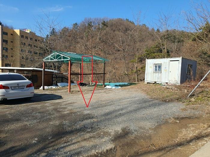 법원경매 2024타경12544 사진3 | 용인시 처인구 양지면 양지리 314-1 임야 경매