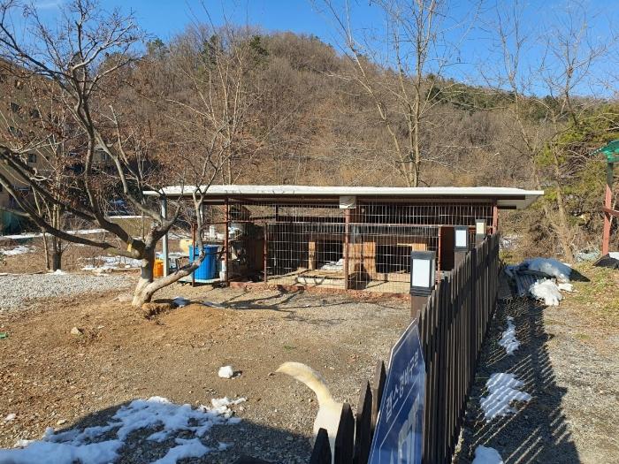 법원경매 2024타경12544 사진7 | 용인시 처인구 양지면 양지리 314-1 임야 경매