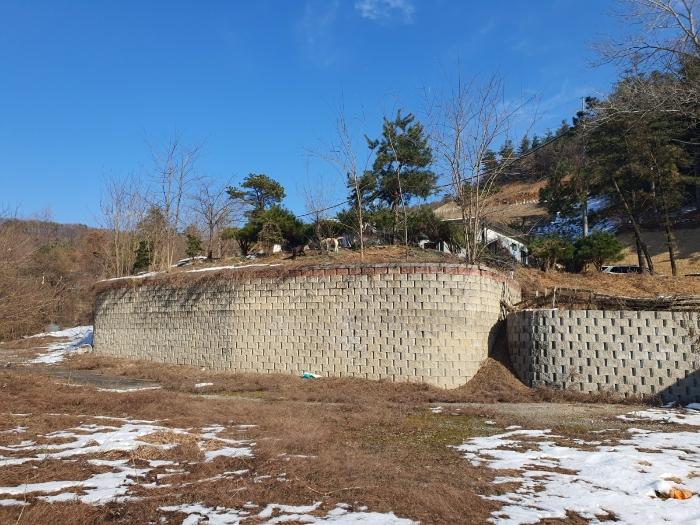 법원경매 2024타경12544 사진5 | 용인시 처인구 양지면 양지리 314-2 임야 경매