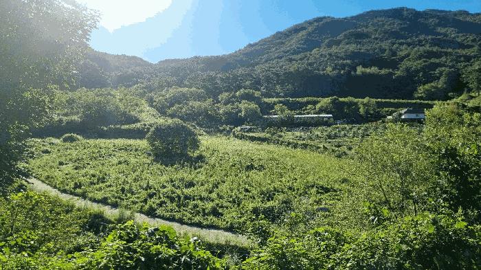 경상남도 거창군 가북면 용암리 507 법원경매 물건 대표사진