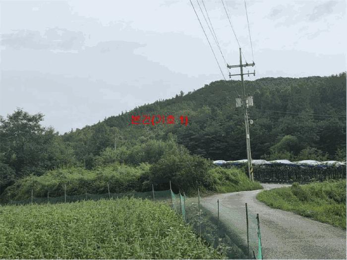 경상남도 거창군 웅양면 한기리 산51-3 법원경매 물건 대표사진