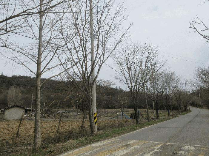 2025타경32043 법원경매 사진2 | 전남 나주시 임야 경매