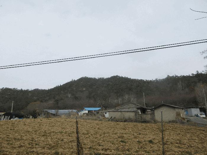 2025타경32043 법원경매 사진4 | 전남 나주시 임야 경매