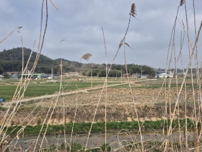 2025타경32373 법원경매 사진4 | 전남 나주시 답 경매