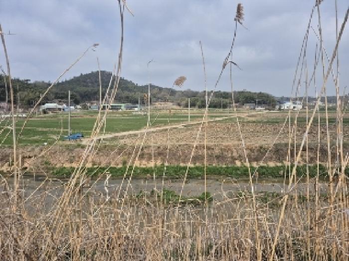 2025타경32373 법원경매 사진5 | 전남 나주시 답 경매