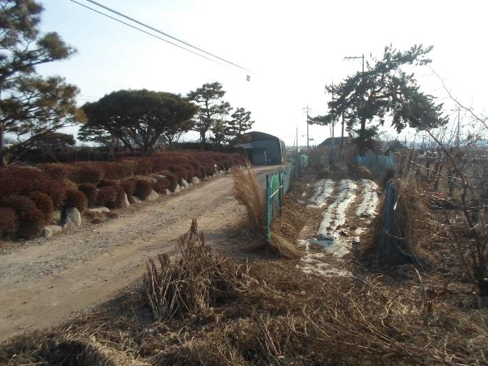 경기도 화성시 송산면 신천리 산34 법원경매 물건 대표사진