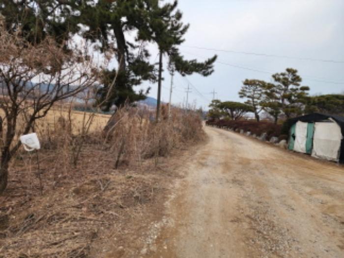 법원경매 2024타경103983 사진9 | 화성시 송산면 신천리 임야 경매