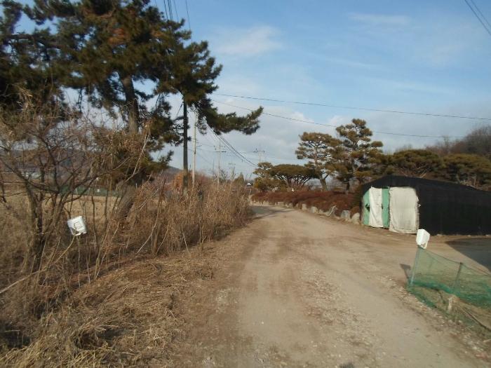 법원경매 2024타경103983 사진4 | 화성시 송산면 임야 경매