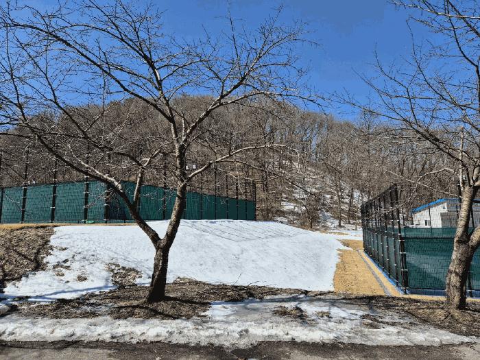 법원경매 2025타경777 사진2 | 용인시 처인구 백암면 석천리 임야 경매