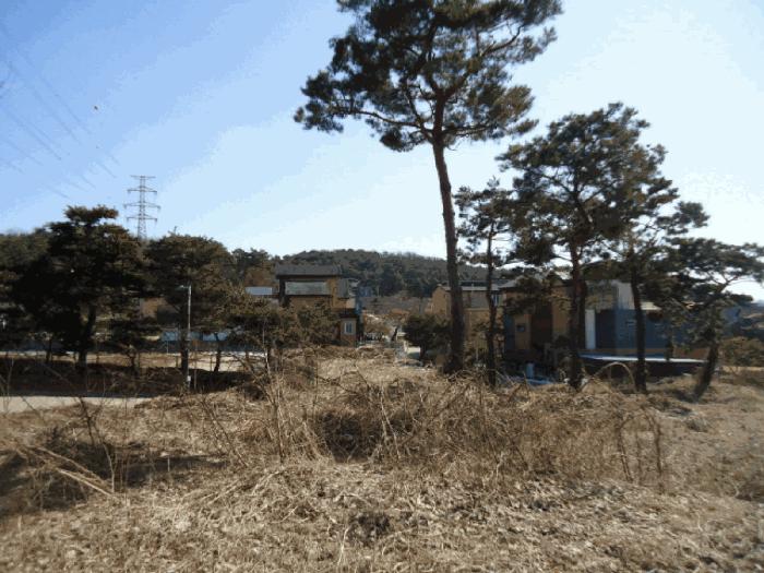 법원경매 2025타경52457 사진5 | 용인시 기흥구 하갈동 77-1 상가 경매