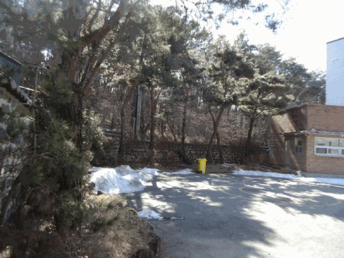 법원경매 2025타경52457 사진9 | 용인시 기흥구 하갈동 77-1 상가 경매