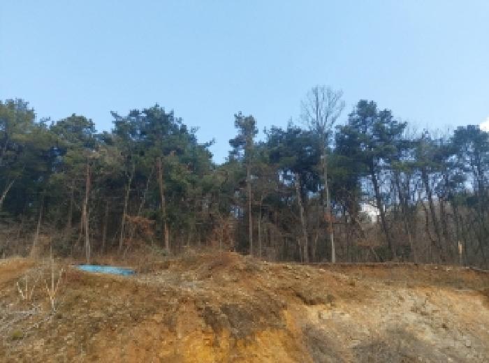 법원경매 2025타경54381 사진40 | 용인시 수지구 동천동 699 답 경매