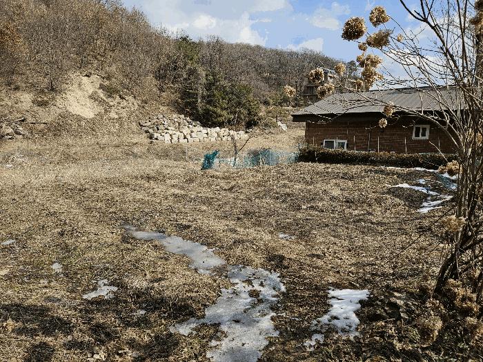 법원경매 2025타경54381 사진6 | 용인시 수지구 동천동 699 답 경매