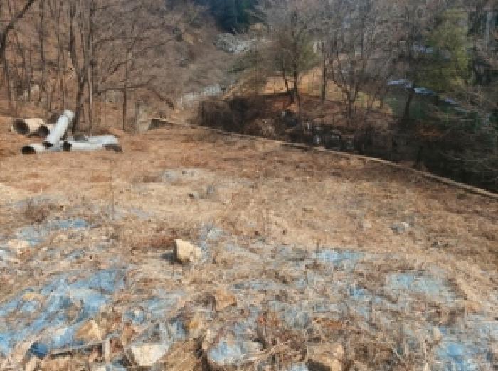 법원경매 2025타경54381 사진35 | 용인시 수지구 동천동 705-2 전 경매