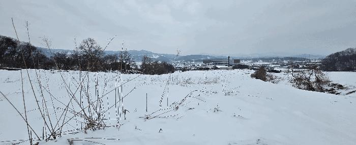 2025타경172 법원경매 사진2 | 경기 안성시 전 경매
