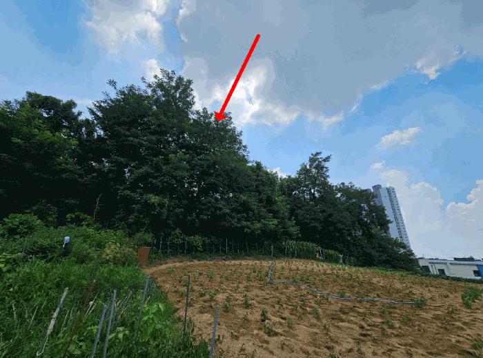 2025타경756 법원경매 사진2 | 경기 평택시 대지,임야,전답 경매