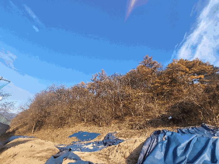 법원경매 2025타경20736 사진4 | 원주시 문막읍 비두리 대지,임야,전답 경매