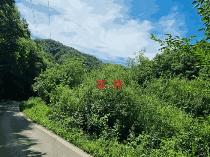 강원특별자치도 횡성군 청일면 갑천리 918-1 법원경매 물건 대표사진