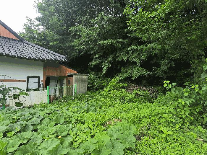 법원경매 2025타경42121 사진2 | 안성시 양성면 대지 경매
