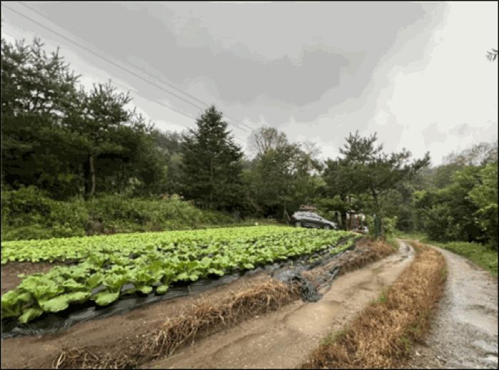 강원특별자치도 횡성군 둔내면 현천리 산7-2 법원경매 물건 대표사진