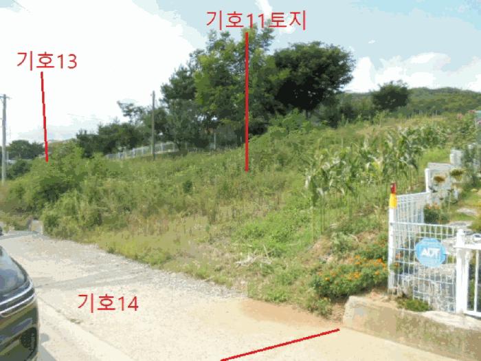 법원경매 2025타경136 사진10 | 제천시 신월동 임야 경매