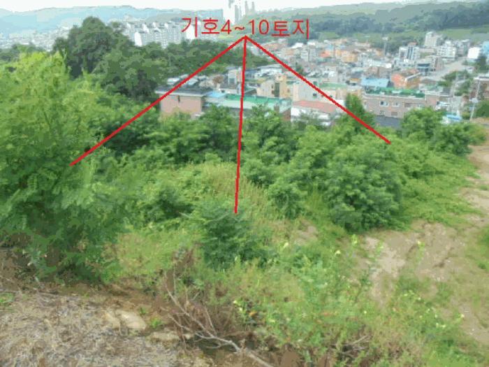 충북 제천시 신월동 산15-65 임야 사진 2